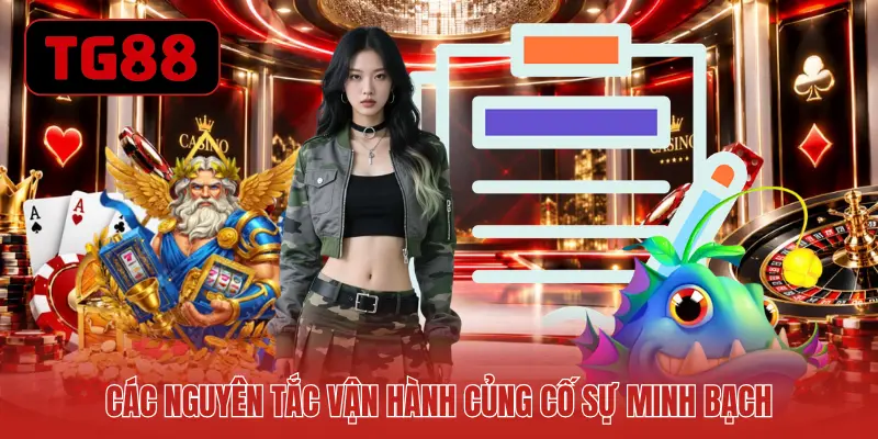 Các nguyên tắc vận hành củng cố sự minh bạch