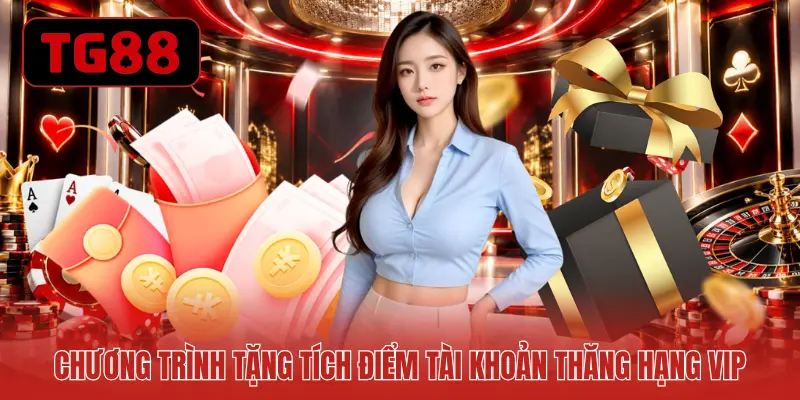 Chương trình tặng tích điểm tài khoản thăng hạng VIP