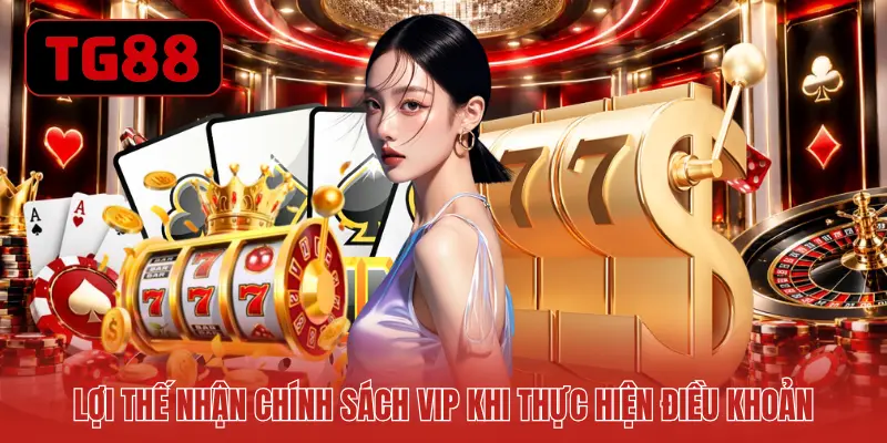 Lợi thế nhận chính sách VIP khi thực hiện điều khoản
